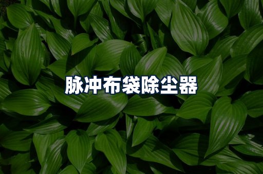 脉冲布袋除尘器